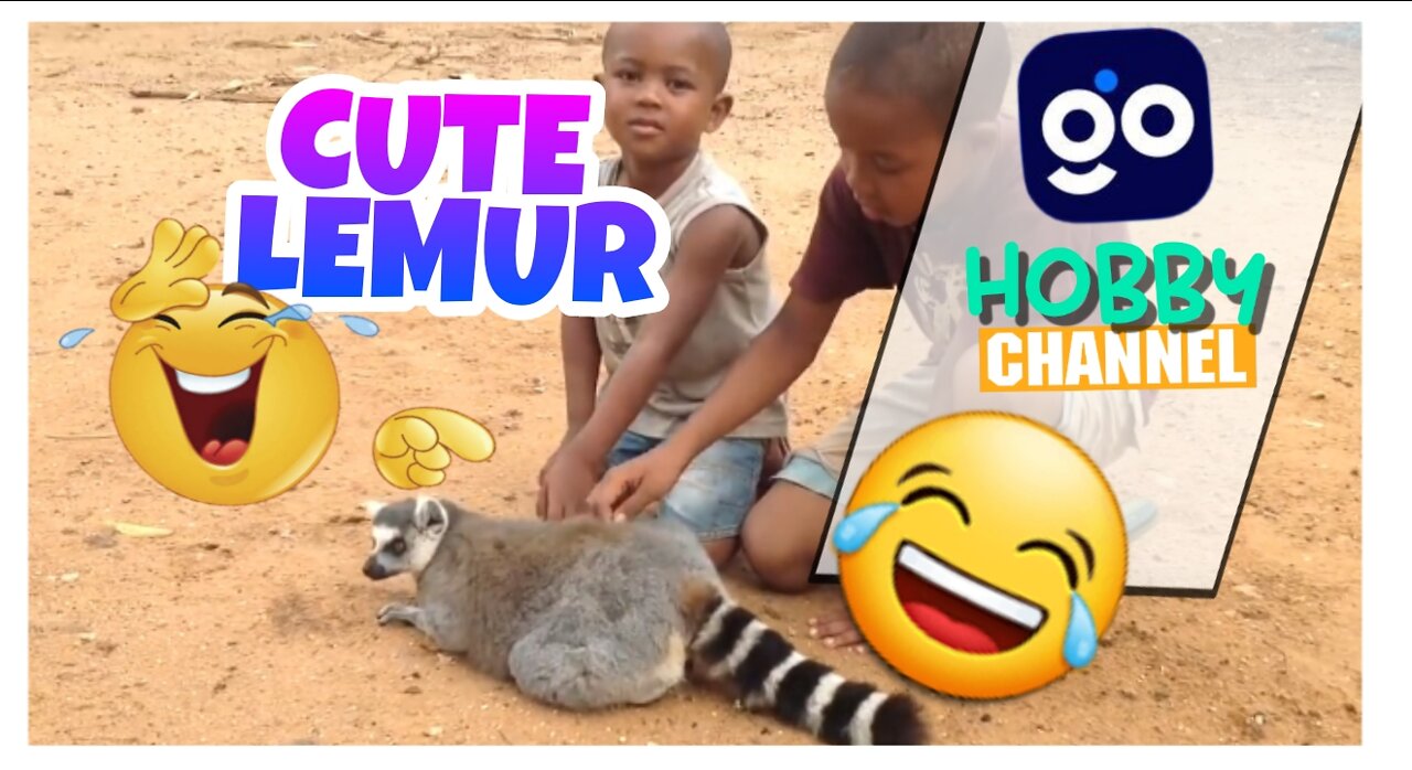 A cute lemur asked two children to be scratched back