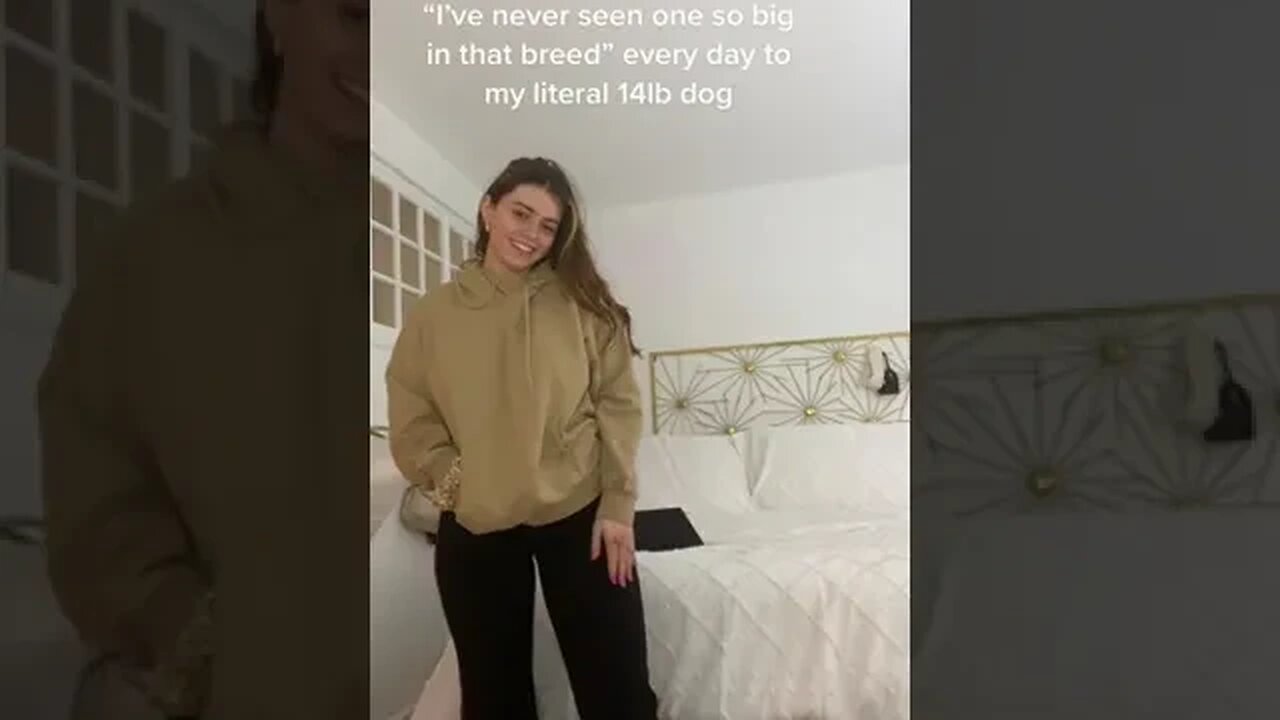 "I've Never Seen One So Big In That Breed" Every Day To Video By Gorlstime #Shorts