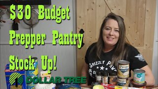 $30 Budget Prepper Pantry Stock Up Haul from Dollar Tree ~ Preparedness