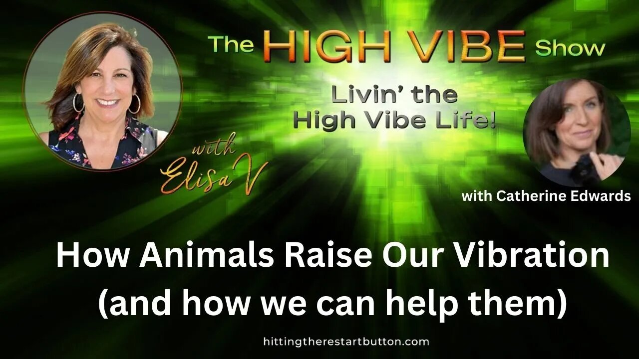 How Animals Raise Our Vibration with Guest Catherine Edwards | The High Vibe Show with Elisa V