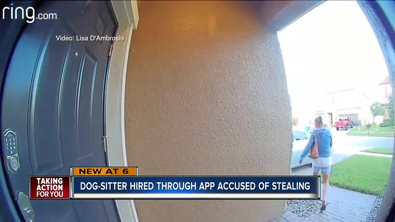 Rover dog-sitter charged with stealing from Pasco woman whose dog she was watching