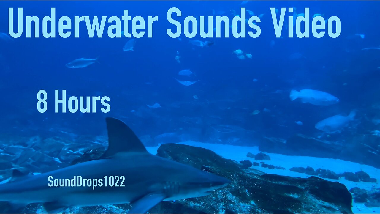 Instantly Fall Asleep With 8 Hours Of Underwater Sounds Video