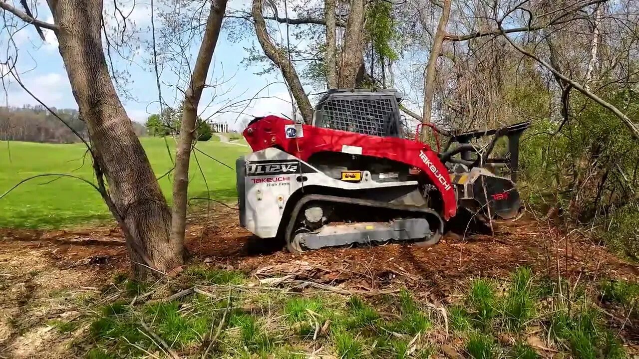 Creek-Side Forestry Mulching Autumn Olive