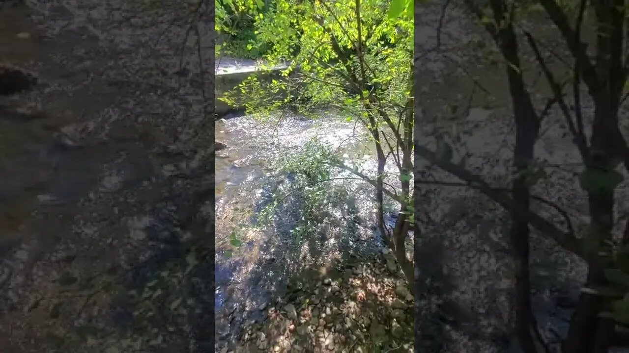 rippling creek rapids.