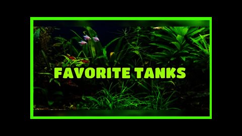 SLOW LOOK AT 2 FAVORITE TANKS