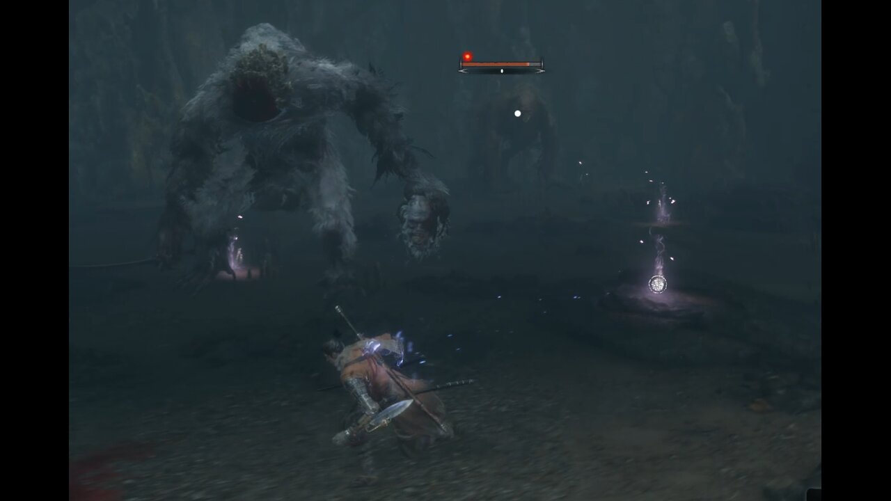 Sekiro NG+7 Guardian Ape Duo (No Kuro's Charm/Demon Bell)