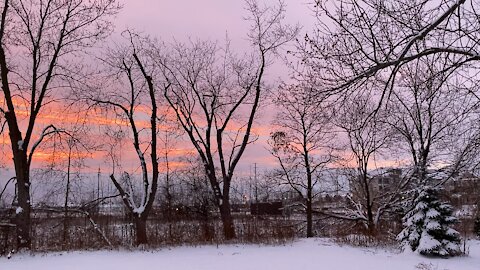 Incredible sky through the trees