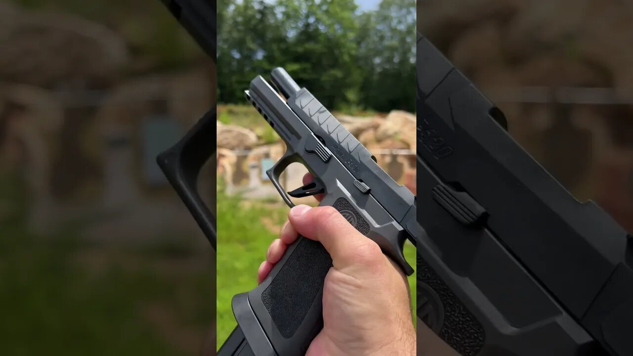 Sig P320 MAX FPV