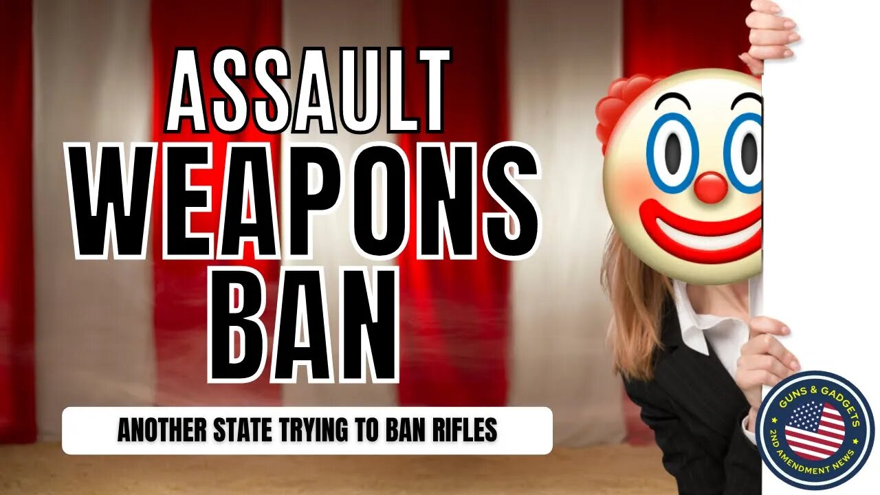 Another State Looking To BAN the 2A