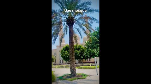 UAE mosque