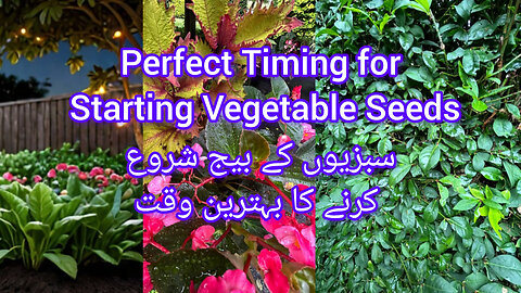 Perfect Timing for Starting Vegetable Seedsسبزیوں کے بیج شروع کرنے کا بہترین وقت