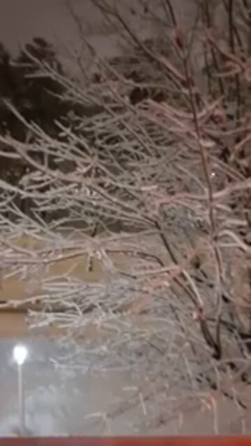 un beau matin tranquille