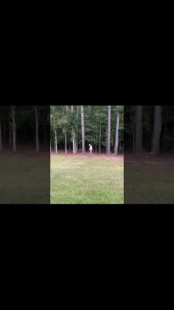 The Deer are Moving, it's That Time of Year