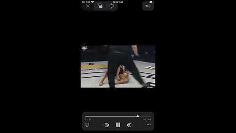 🧐 Knee bar submission