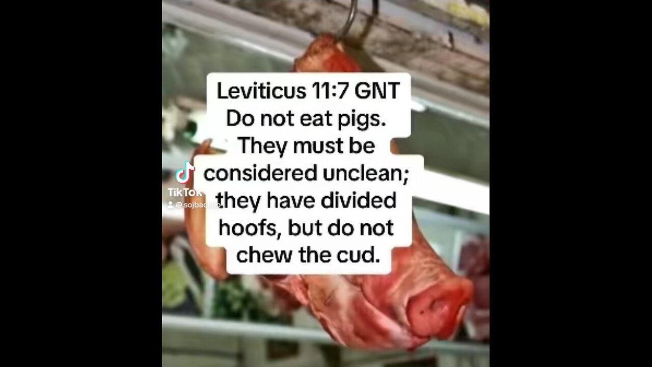 Don’t EAT PORK