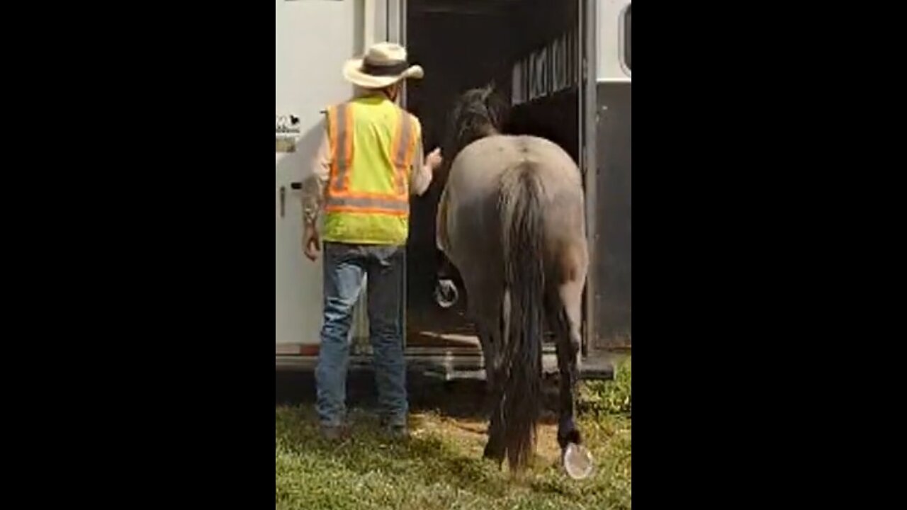 Steele - test of trailer skills - 10 Aug 2024