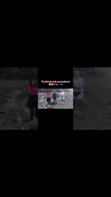 THEIR FAVORITE #INSURRECTIONIST ￼🇺🇸❤️🐾🤣 #shorts