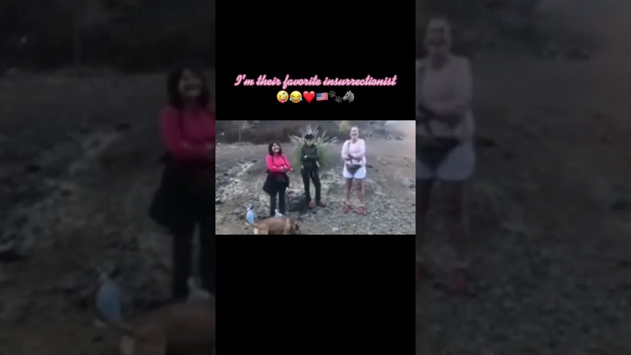 THEIR FAVORITE #INSURRECTIONIST ￼🇺🇸❤️🐾🤣 #shorts