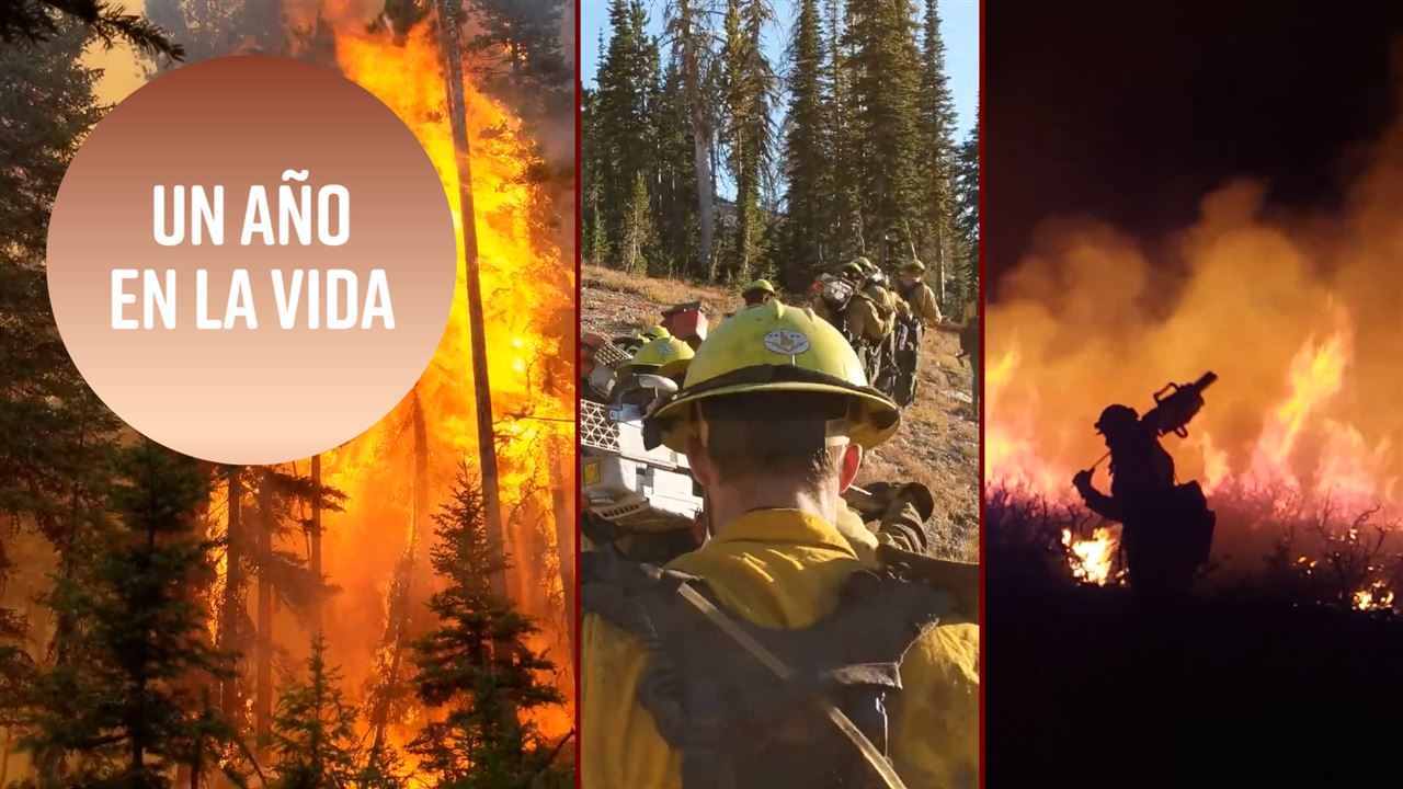 Un segundo al día: La vida de un bombero en 2018