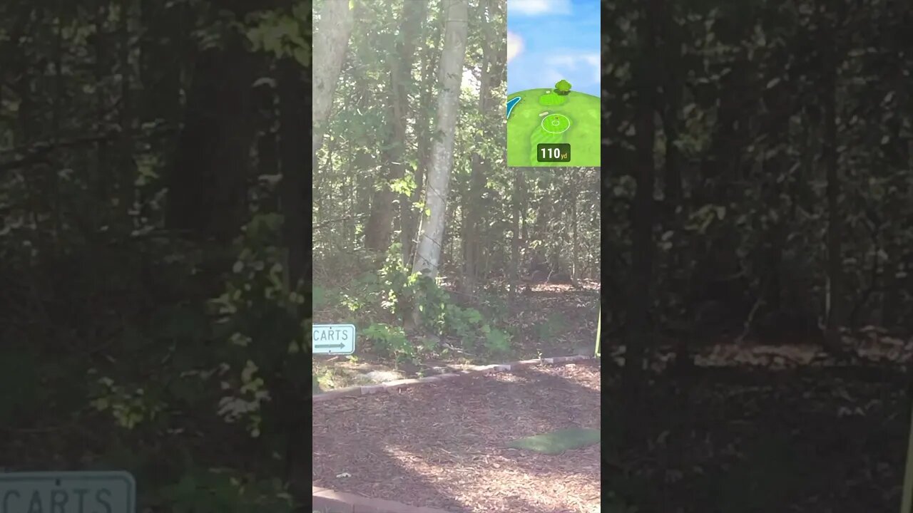 Domburgsche Golf Club - Hole 3 #Shorts #Golf #Golfing #Golfer #SimGolf #GarminR10 #GolfSimulator