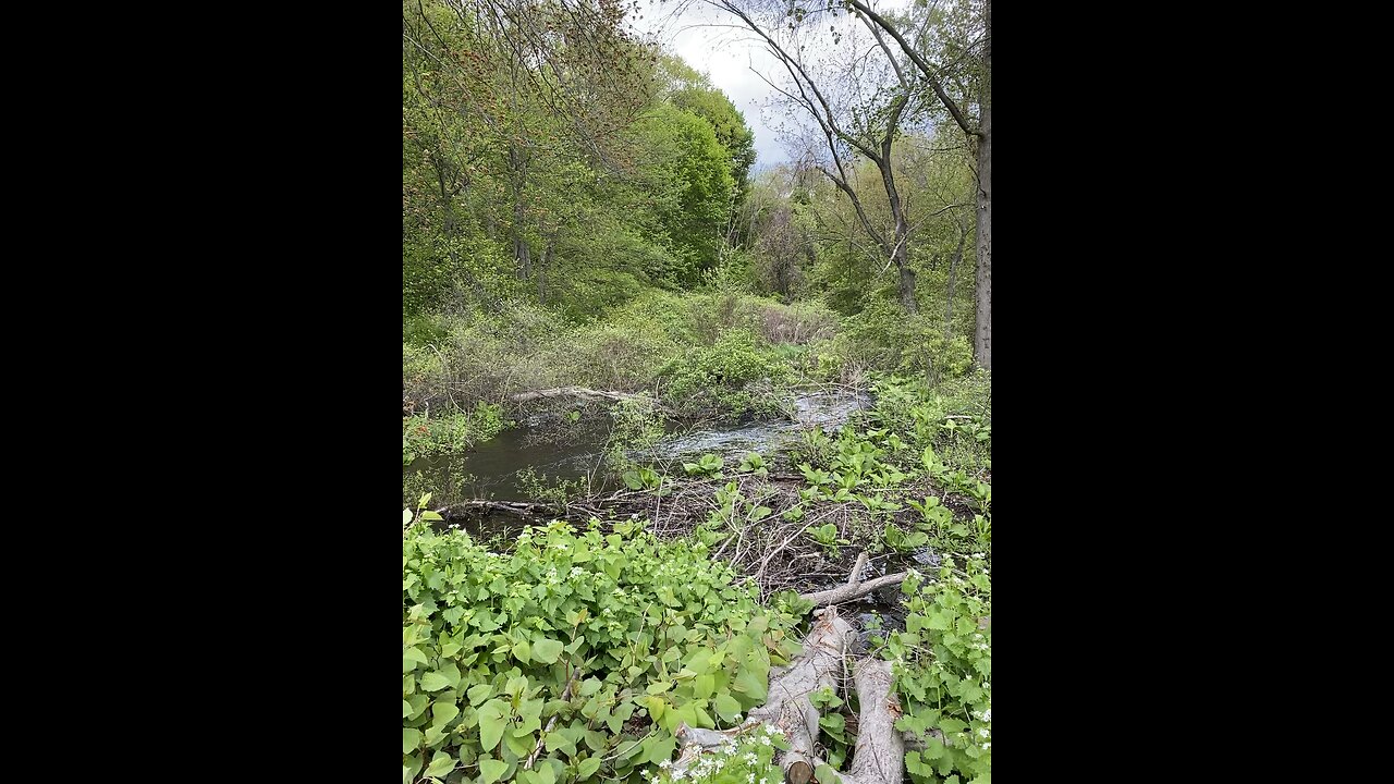 Hiking Vibes and I discovered a small River 🥾🏞️