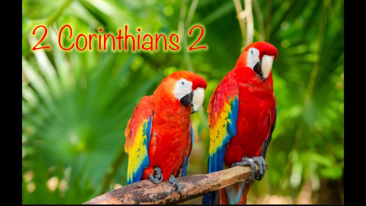 Read the Bible with me. 2 Corinthians 2