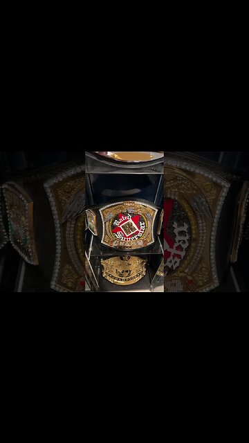 What Is The Best Spinner Belt In WWE History! #shorts