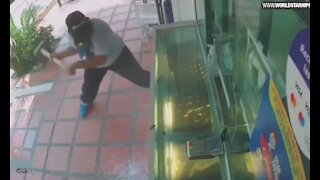 Idiot Criminals Thought They Could Easily Break Glass To Steal!