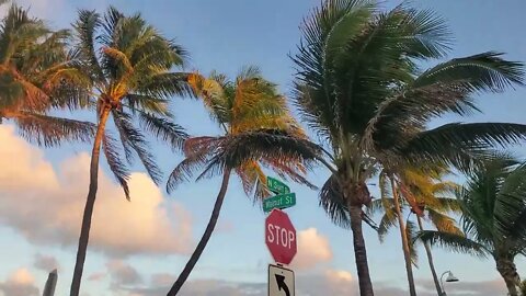 just walking around....