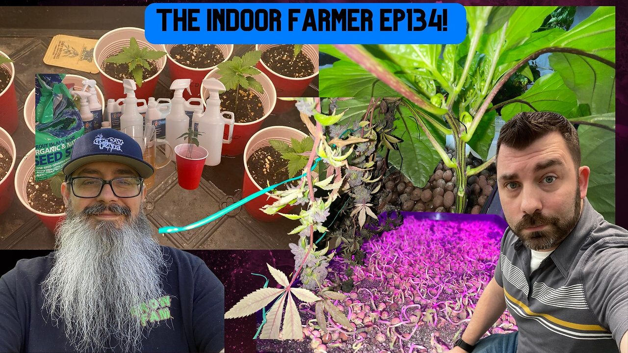 The Indoor Farmer ep134! Harvest Day + SteveO Mixing Up Some Foop & So Much More!