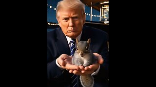 Donald Trump💥The👉Squirrel🐿️Story🤪🤣😎