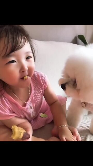 Pup Steals Snack Away From Little Girl