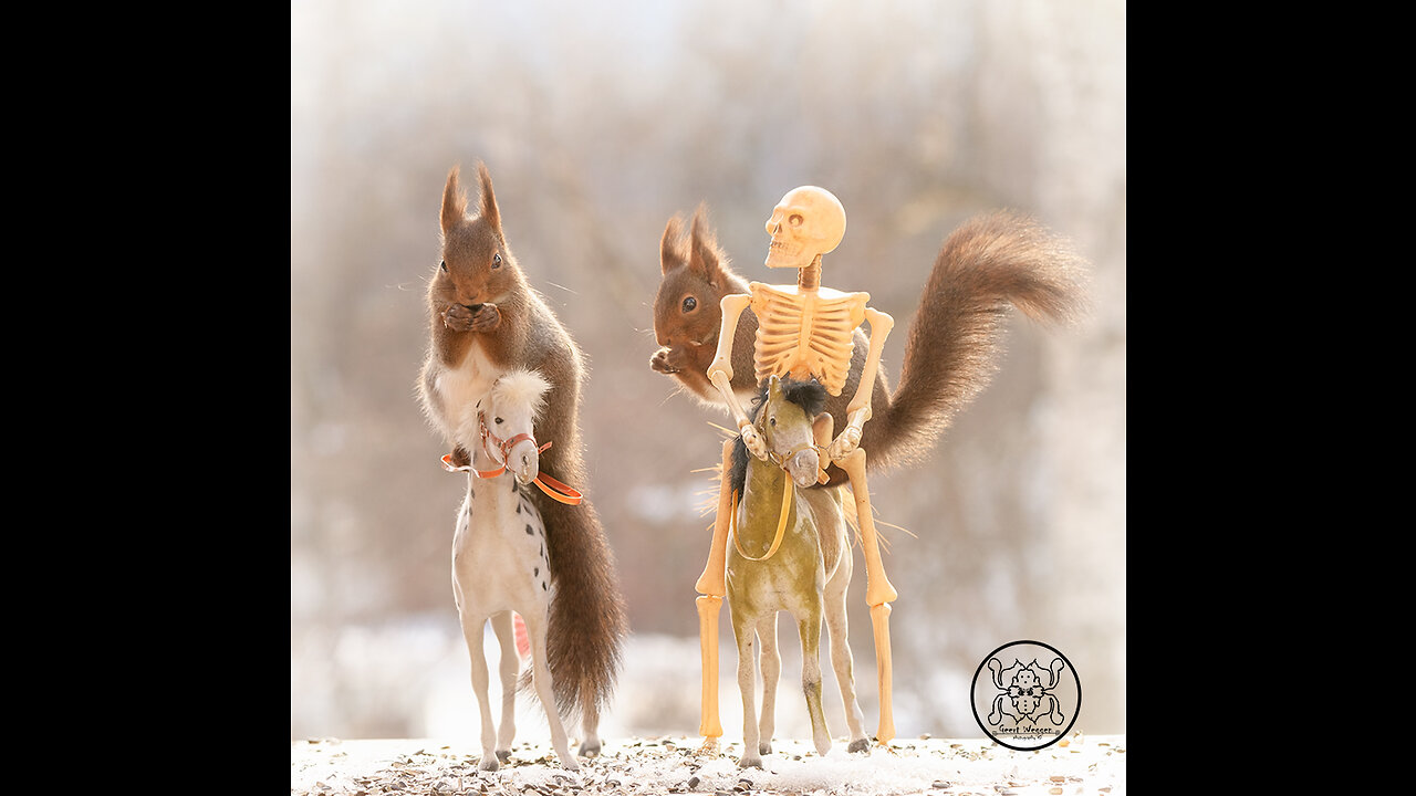 Game of thrones squirrel scenes