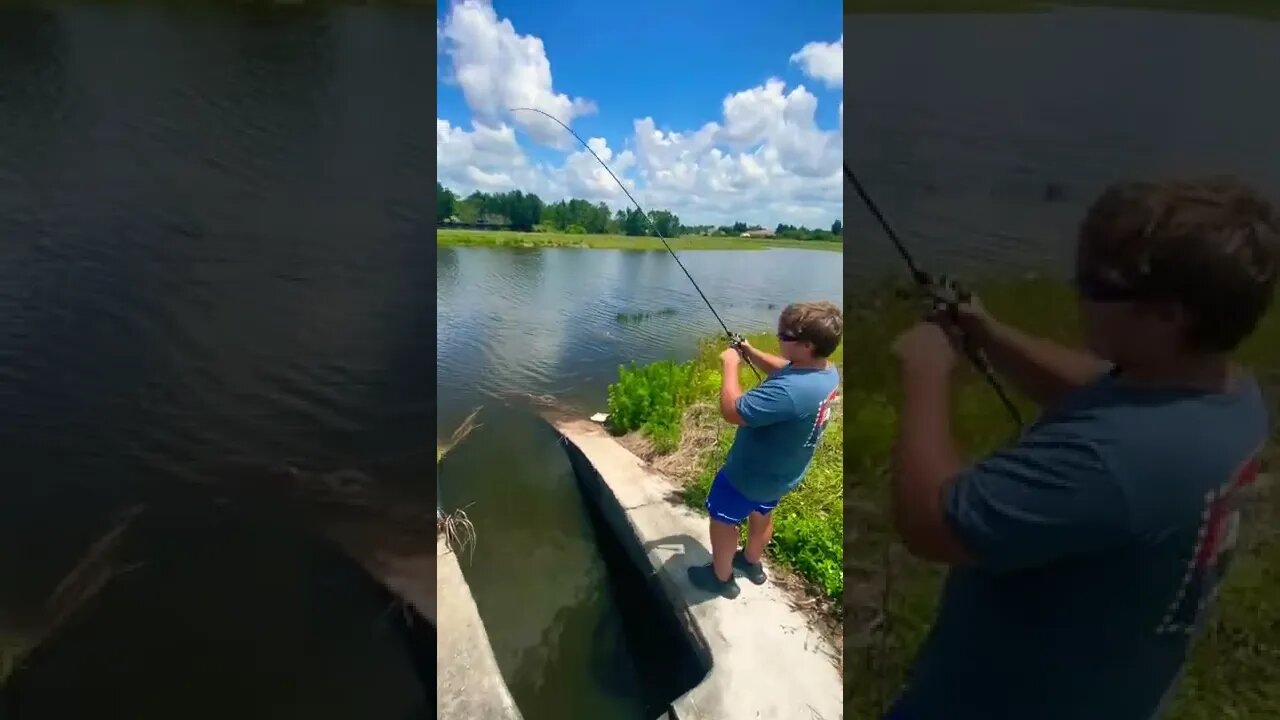 Catching a monster fish! #fishing #shorts