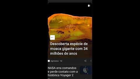 Mosca 34 milhões de anos