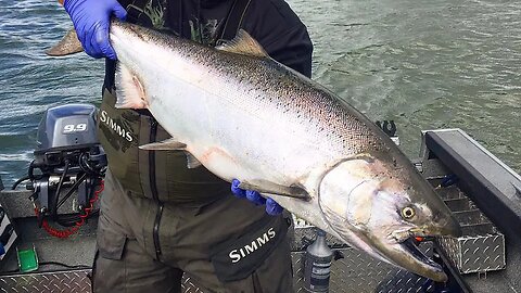 Practice Social Distancing - GO SPRING CHINOOK FISHING!!