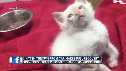 Sick kitten tossed from car window teaches lesson to be kind to animals