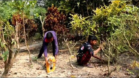 Fake tiger prank on public ! Fake tiger vs crazy man prank video 😅🤣.