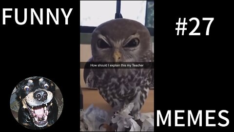 How do I explain my teaches.. | FUNNY MEMES #27