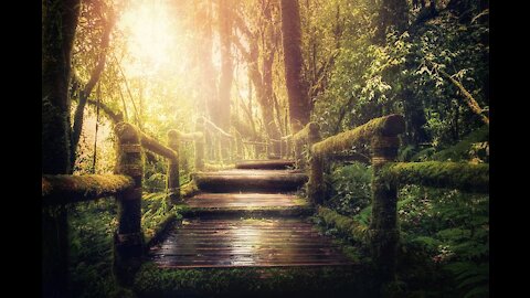 Relaxing Music and Piano Sounds 24/7