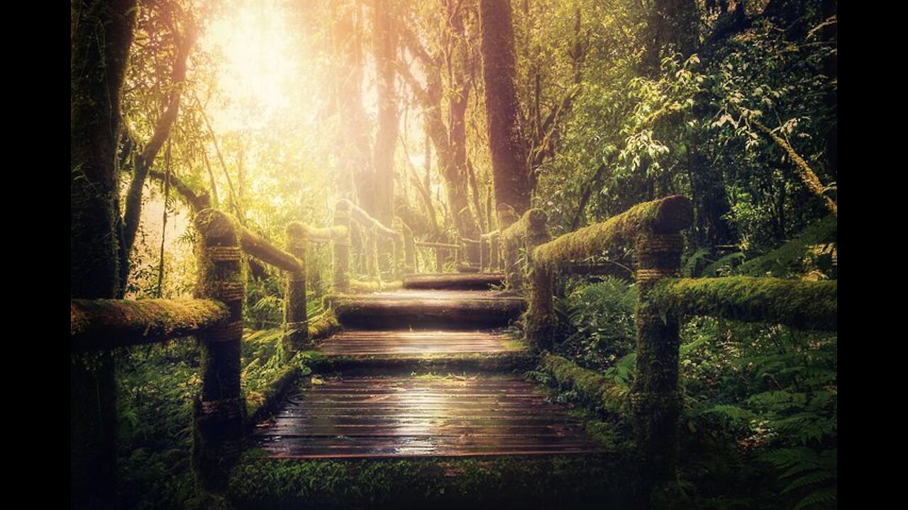 Relaxing Music and Piano Sounds 24/7