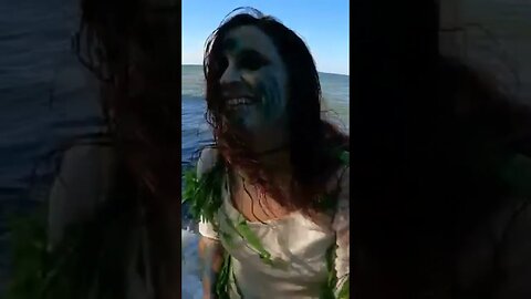 "Creatures of The Edgewater Lagoon"