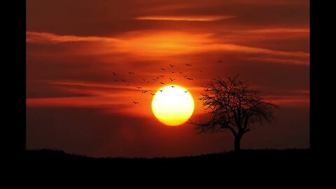 African Sunset Ambiental Music - Sleep, Study and Relax