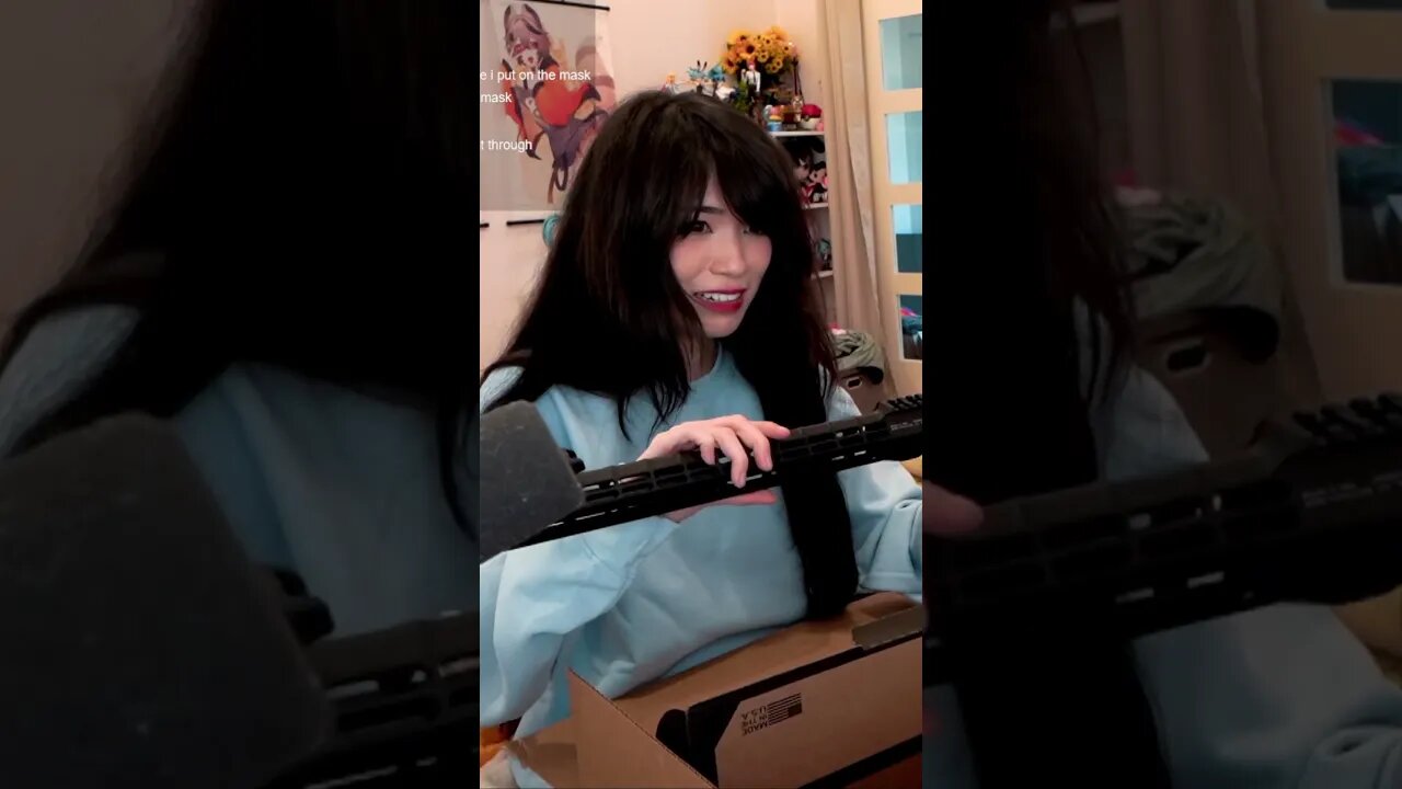 gun1