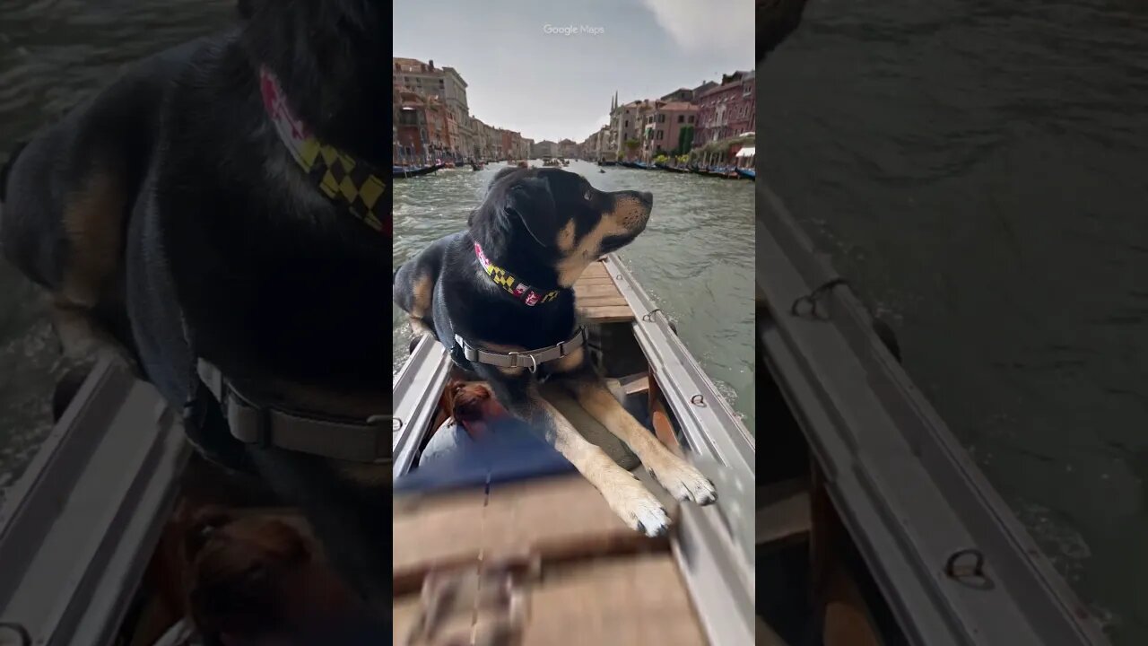 Venice Day…