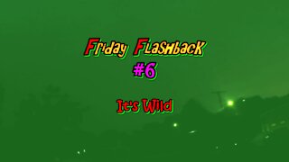 Friday Flashback #6