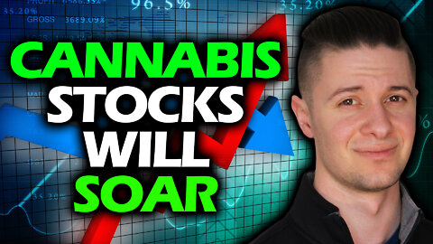 Cannabis Stock Insanity Incoming