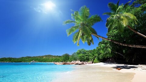 video of one of the most beautiful beaches in the world