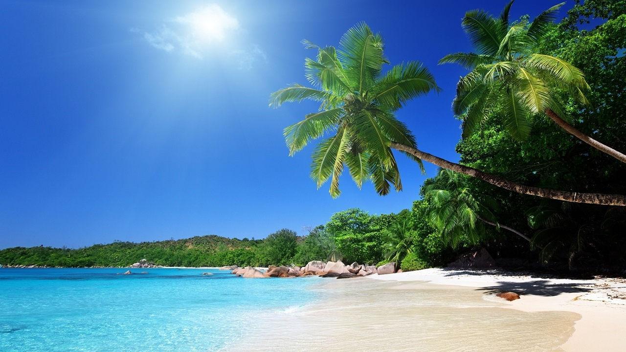 video of one of the most beautiful beaches in the world