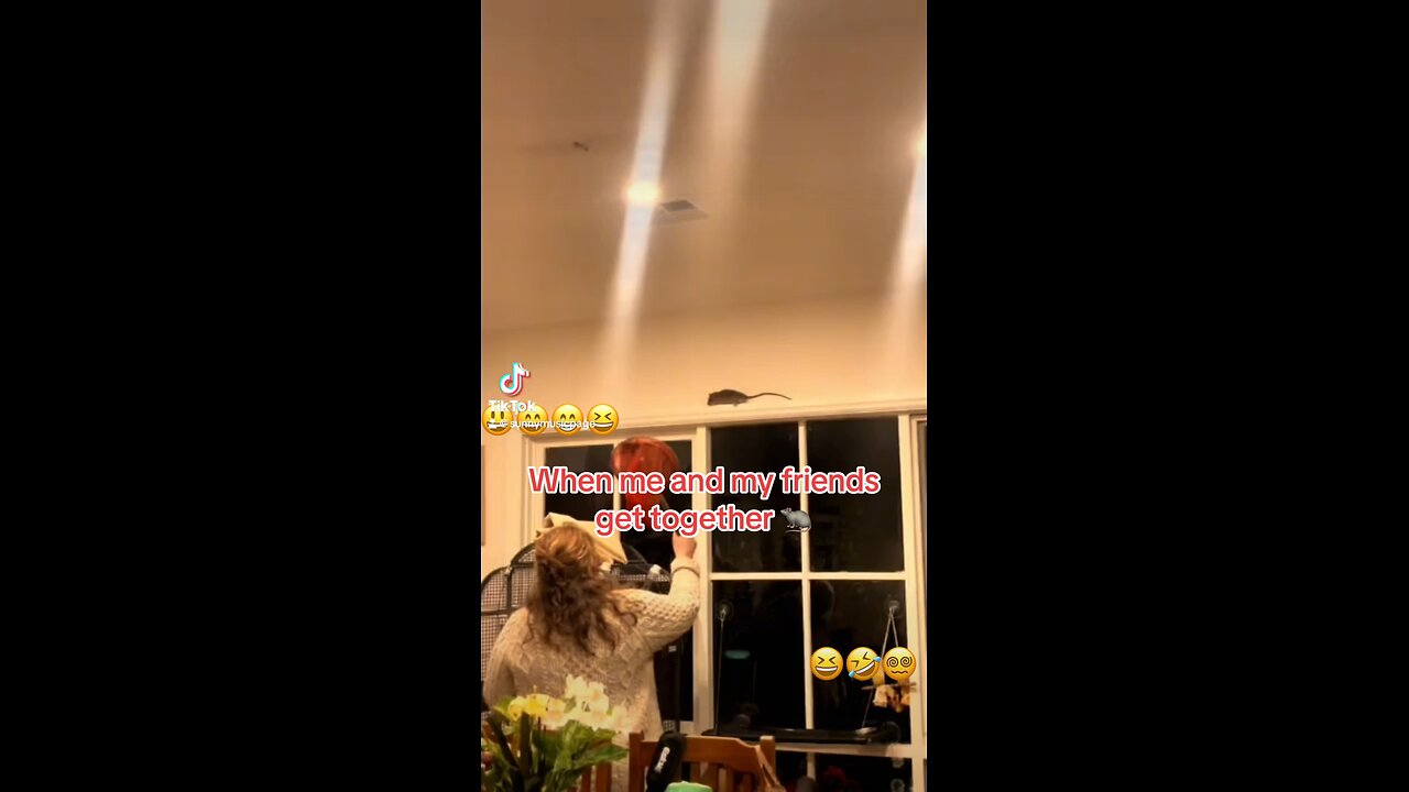 When me and my friends get together 🐀